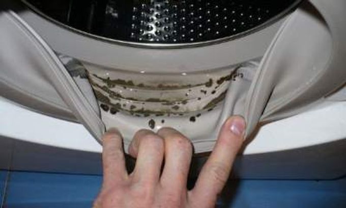 How to easily and inexpensively remove mold in a washing machine on rubber / rubber band?