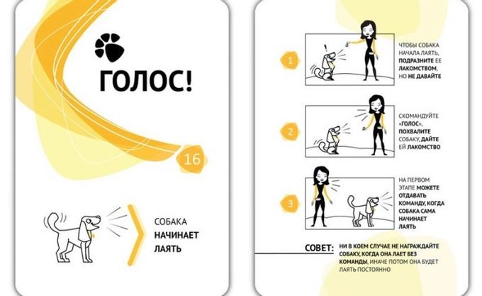 Как научить собаку команде «Голос»?