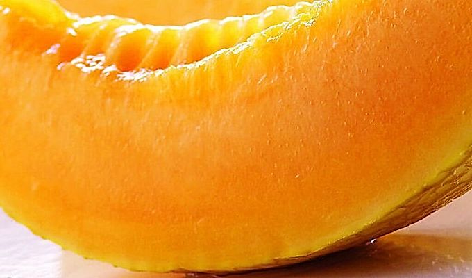  Useful properties of melon 