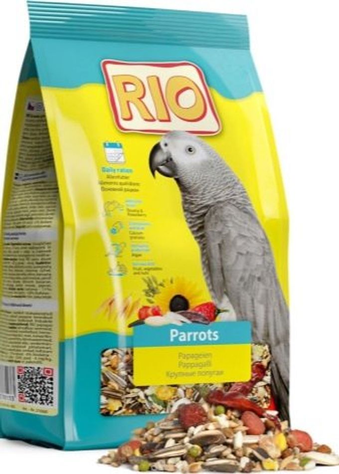 Food for parrots: types and features of selection