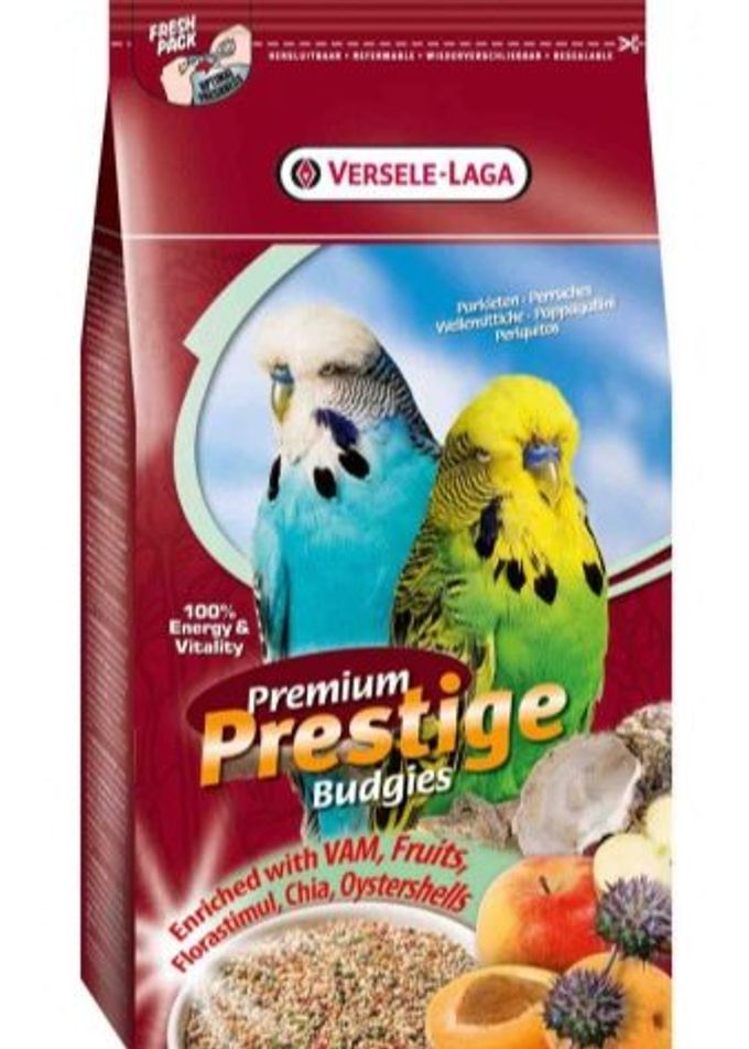 Food for parrots: types and features of selection