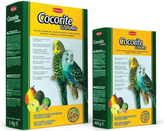 Food for parrots: types and features of selection