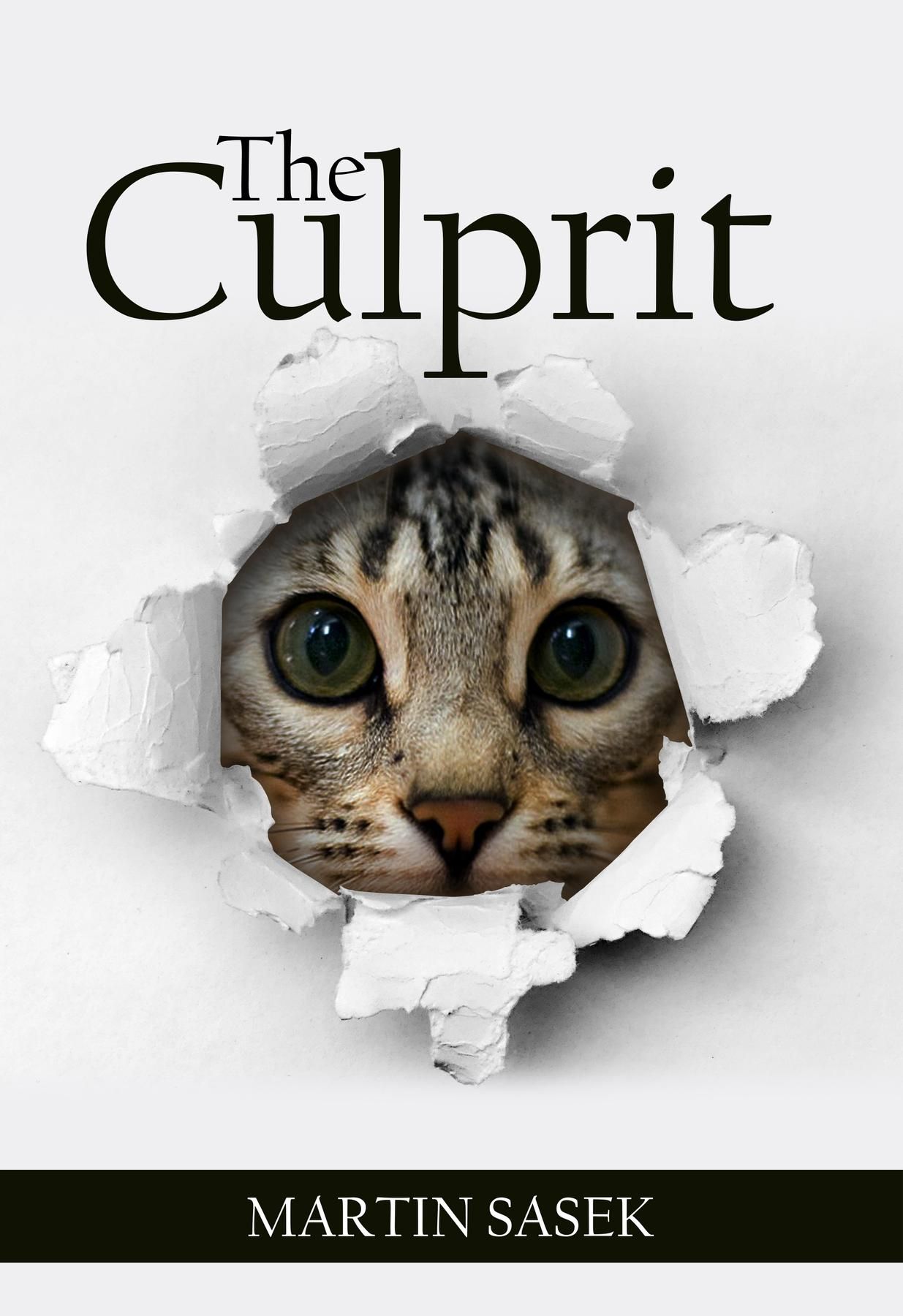 The Culprit By Martin Sasek Read On Glose Glose 5221