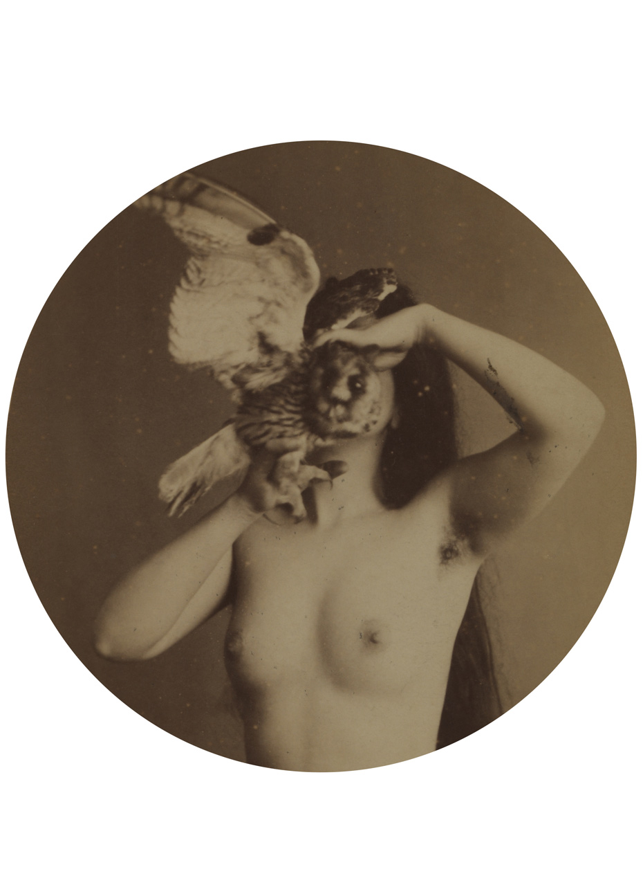 UNKNOWN PHOTOGRAPHER Nude Zoomorphic, 1870s Courtesy of Michael Hoppen Gallery