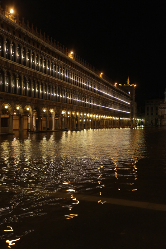 venice submerged Giona Stringer