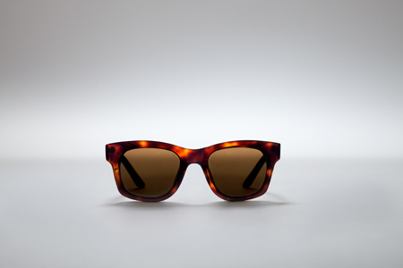 Sun Buddies Ted Baker sunglasses