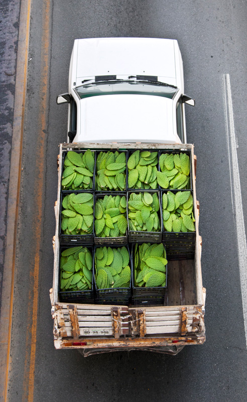 Alejandro Cartagena: Urban Transportation Photo Essay Image 1, truck with vegetable crates