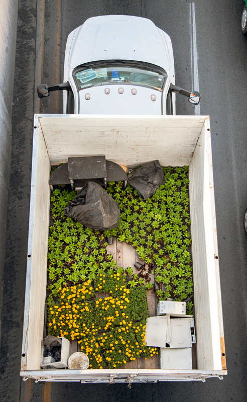 Alejandro Cartagena: Urban Transportation Photo Essay Image 6, lorry with loose veg