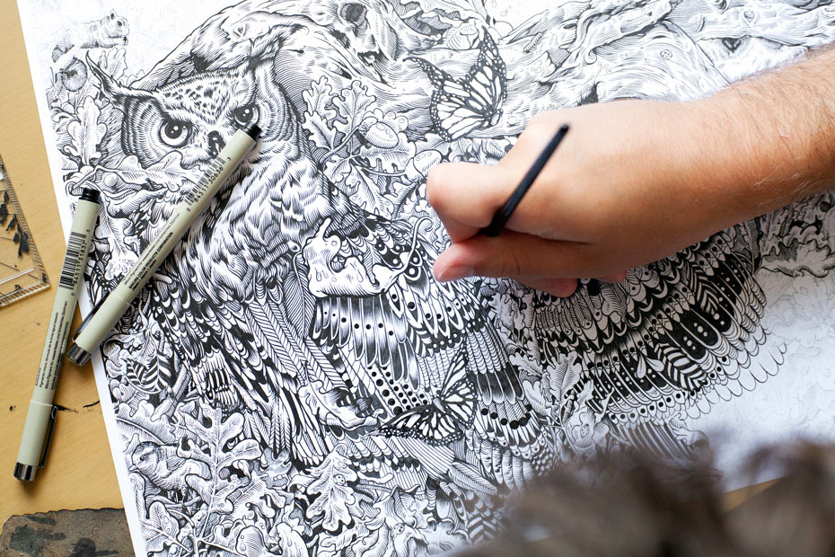 owl-ink-drawing-detail