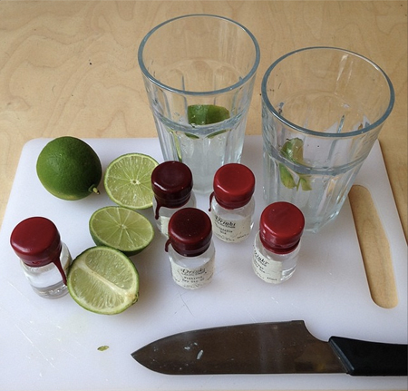 Gin, limes, chopping board and glasses