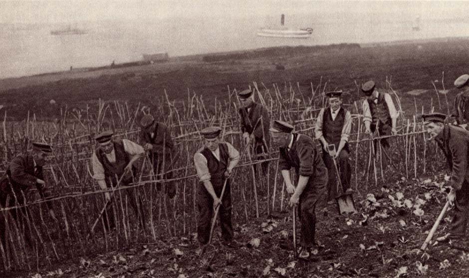 2013-009-1-Sailors-Allotment--WWI-1917