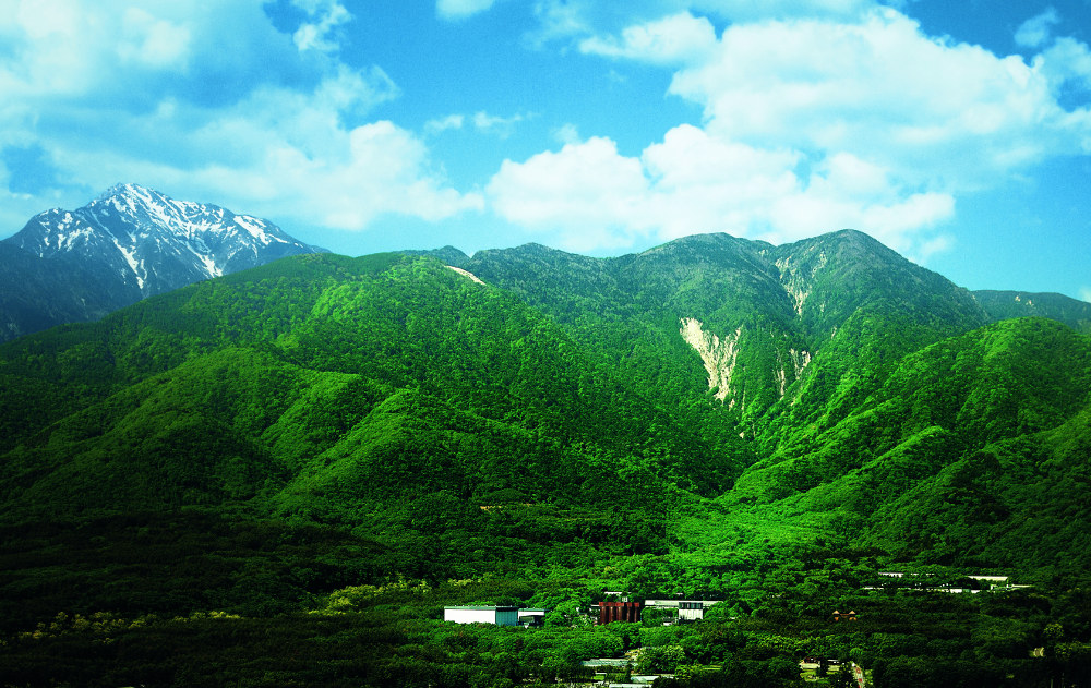 Hakushu distillery, Yamanashi Prefecture, Japan