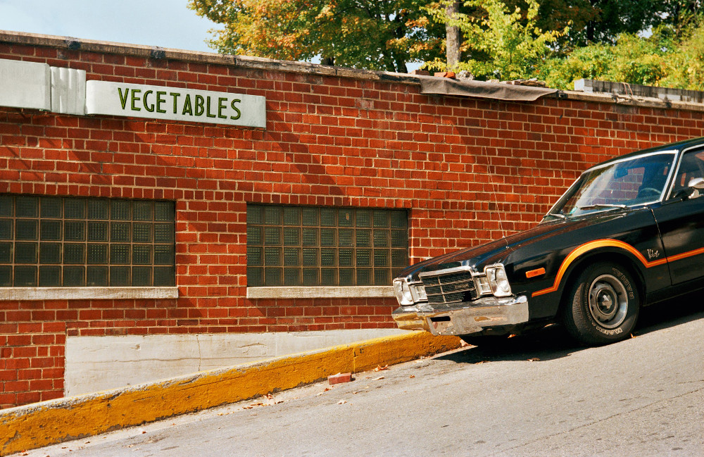 william eggleston photography