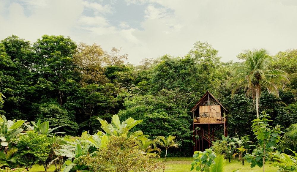 Airbnb Treehouse