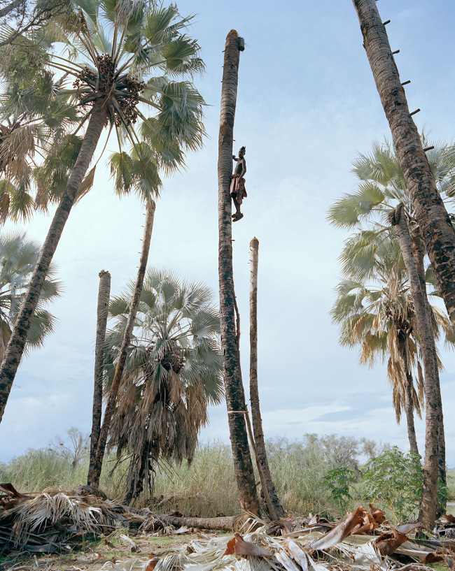 Image courtesy of Kyle Weeks, taken from his series 'Palm Wine Collectors'