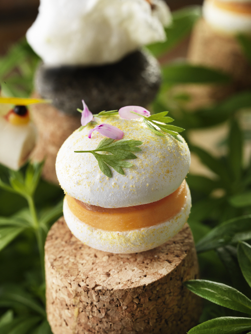 Sea buckthorn, melon, and Char macaron Photography René Riis