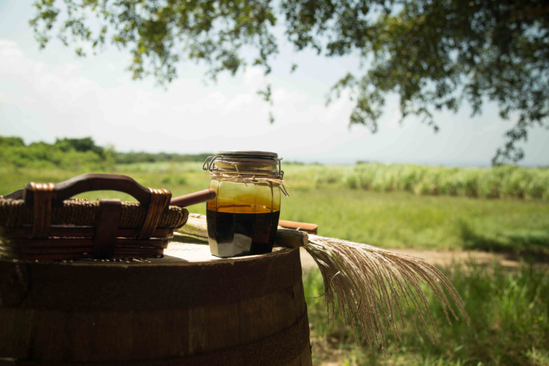 Elements Black Molasses PORT Magazine