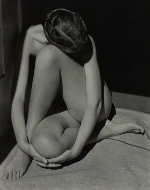 Edward Weston 1886-1958 Nude 1936 Photograph, gelatin silver print on paper 241 x 191 mm The Sir Elton John Photography Collection © 1981 Center for Creative Photography, Arizona Board of Regents 