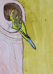 Budgerigar image #1