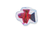 Product image - Mermaid Melissa #3 (Fish)