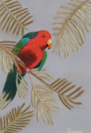 Curious Parrot image #1