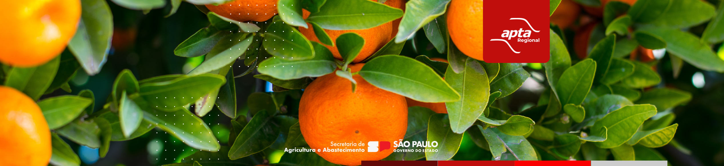 Produção Integrada de Citros