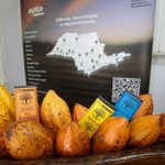 GAFFFF 2026: APTA REGIONAL conecta ciência, produtores e consumidores em uma vitrine da inovação agroalimentar