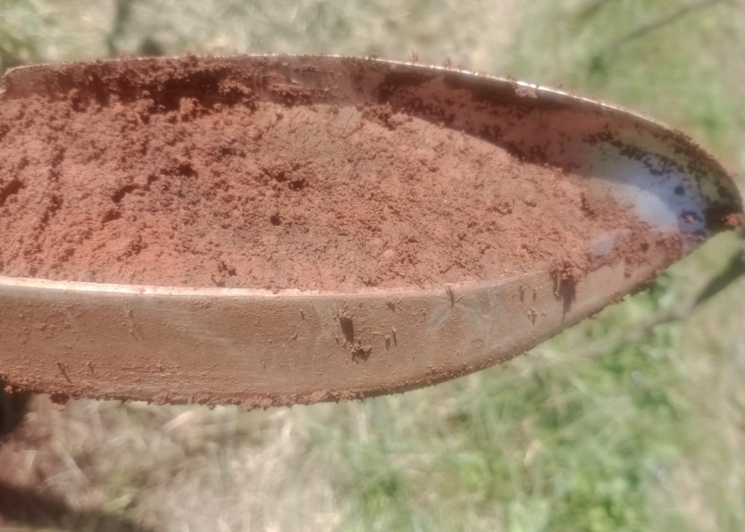 Cafés SP reúne especialistas e destaca o legado e o futuro da cafeicultura paulista em São José dos Campos