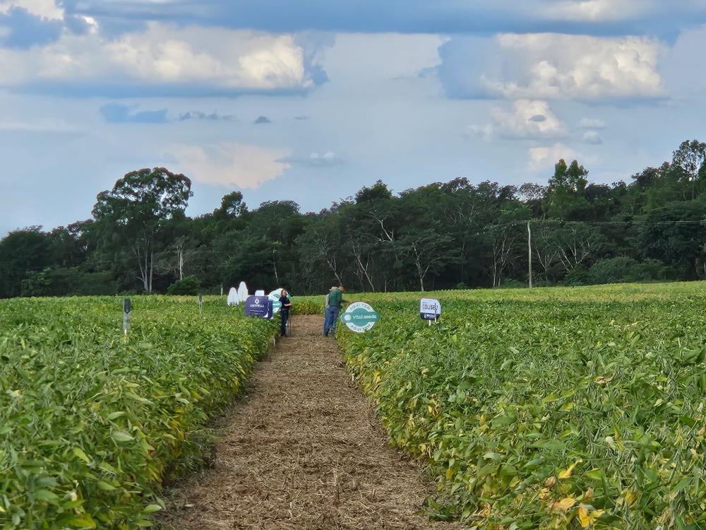 ​​​​​​​Tour de Soja: Apta Regional de Brotas traz ao produtor atualizações tecnológicas para cultura