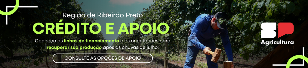 Região de Ribeirão Preto – Crédito e Apoio