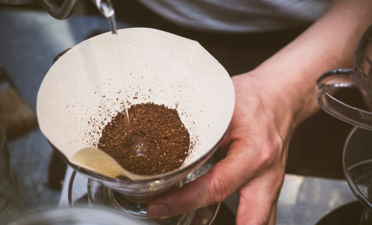 IAC sedia campeonato brasileiro de preparo de cafés especiais filtrados