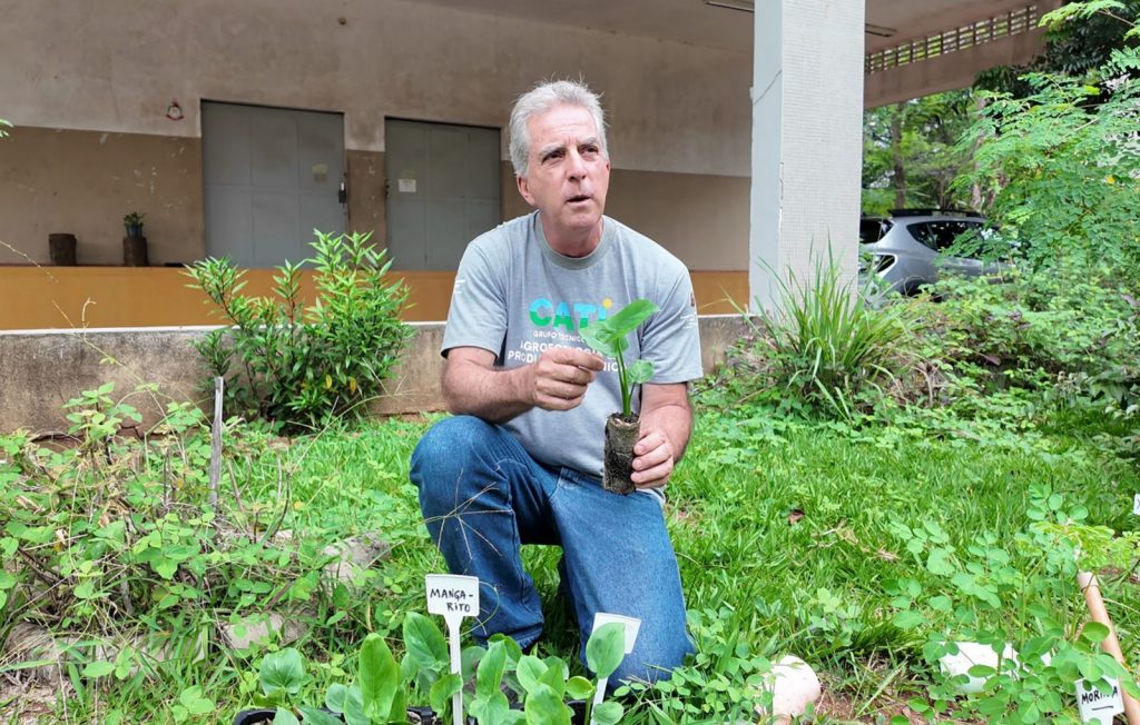 Governo de SP amplia a diversidade alimentar com plantas pouco conhecidas