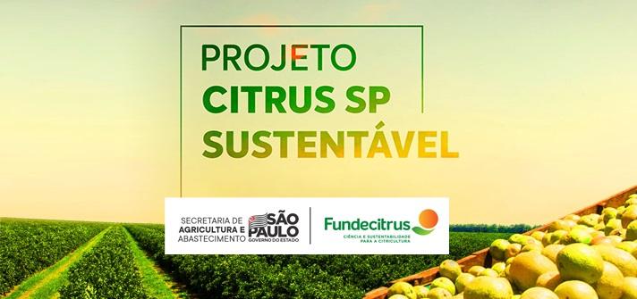 Projeto Citrus SP Sustentável avança e conclui o primeiro módulo de capacitação continuada de técnicos da Defesa e Extensão Rural