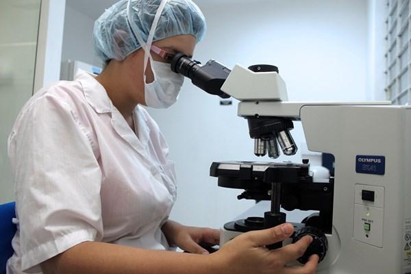Parceria do Instituto Biológico com a FAPESP amplia portfólio de imunobiológicos contra brucelose e tuberculose