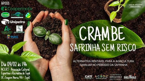 Crambe – CATI Regional Tupã oferece, junto com parceiros, nova oportunidade de palestra sobre o crambe