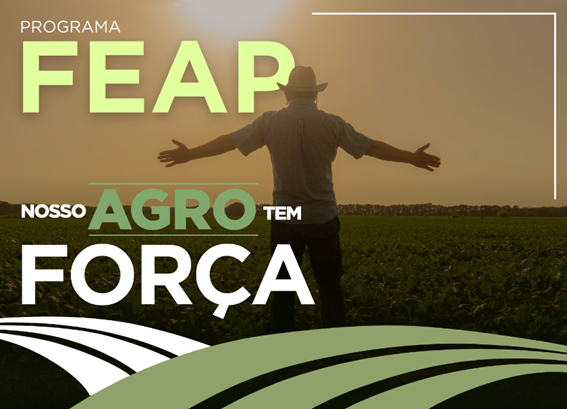 Programa FEAP