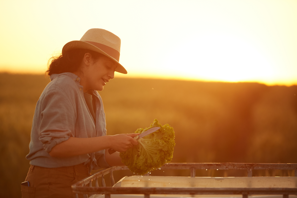 DIA INTERNACIONAL DAS MULHERES RURAIS – Participação feminina se destaca na Secretaria de Agricultura