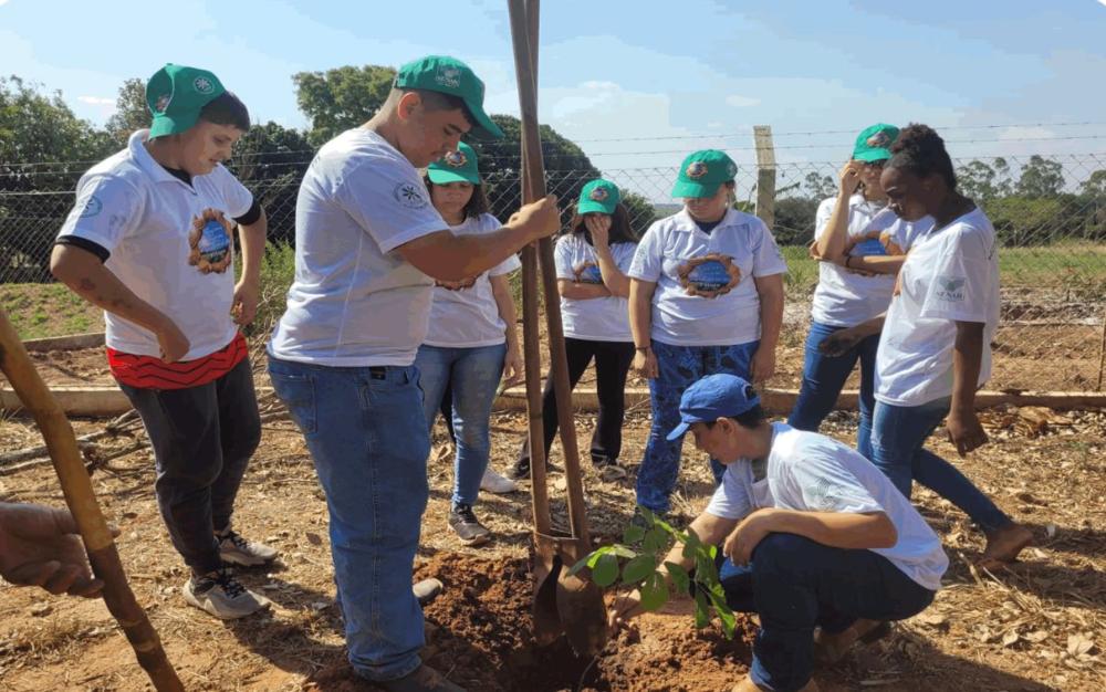 Jovens do Projeto do Futuro de Catanduva vivenciam um dia de campo na área de mudas e sementes da Apta Regional