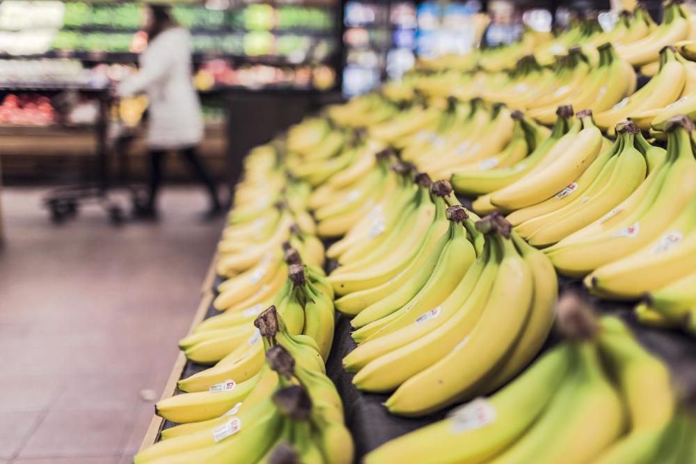 Líder nacional, São Paulo produz 26% da banana do país