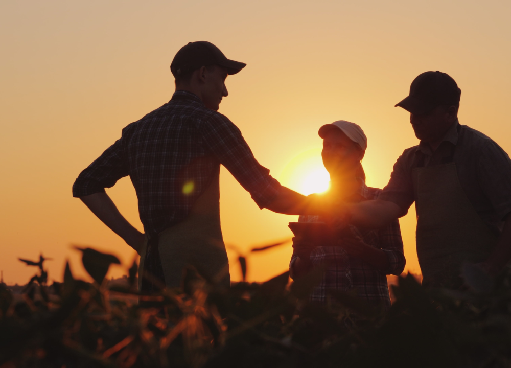 Câmaras Setoriais e Temáticas reúnem todos os elos das cadeias produtivas: do pequeno produtor às grandes agroindústrias