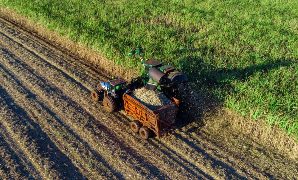 Superávit no agro paulista totaliza US$ 14,4 bilhões no acumulado de 2023