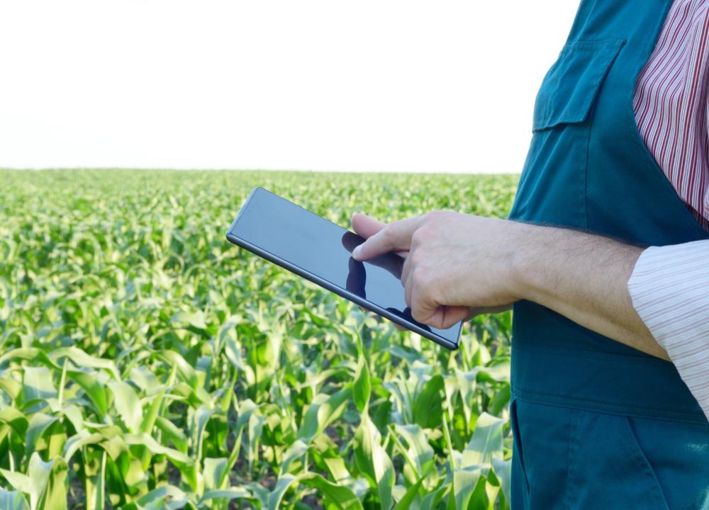IEA lança site para cálculo de custo de produção rural