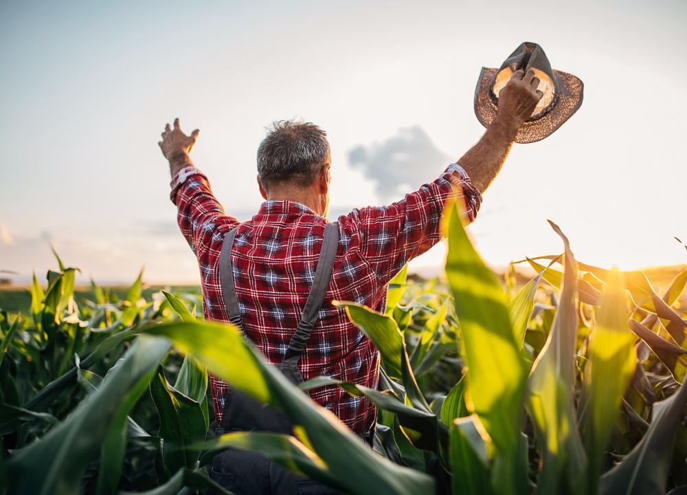 28 de julho: Uma data para relembrar a importância do agricultor brasileiro para a economia do País