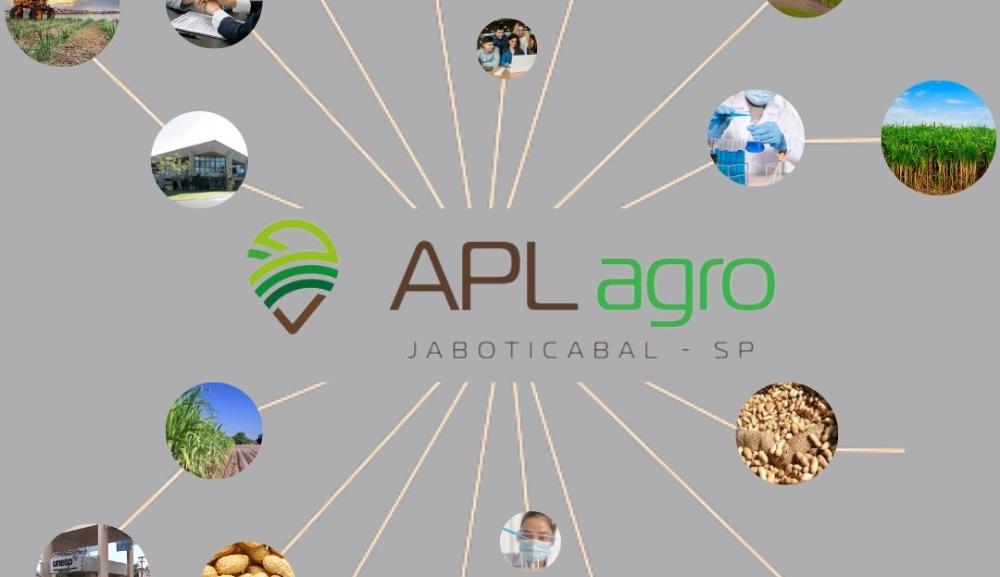 Arranjos Produtivos Locais potencializam setor regional do agro