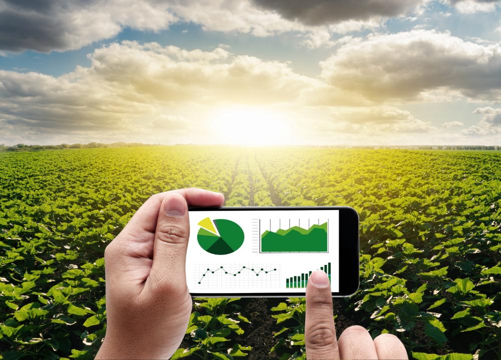 Conectividade pode elevar produtividade no campo em até 25% em São Paulo