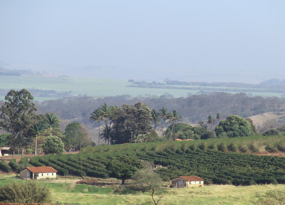 Secretaria de Agricultura e Ministério Público discutem procedimentos para revisão dos Termos de Ajustamento de Conduta firmados com proprietários de imóveis rurais