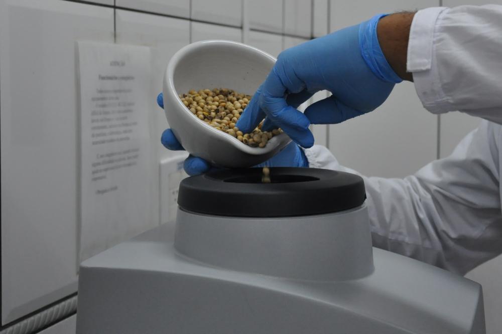 Ital recebe inscrições até segunda-feira (31) para bolsa pós-doc dedicada a proteínas vegetais