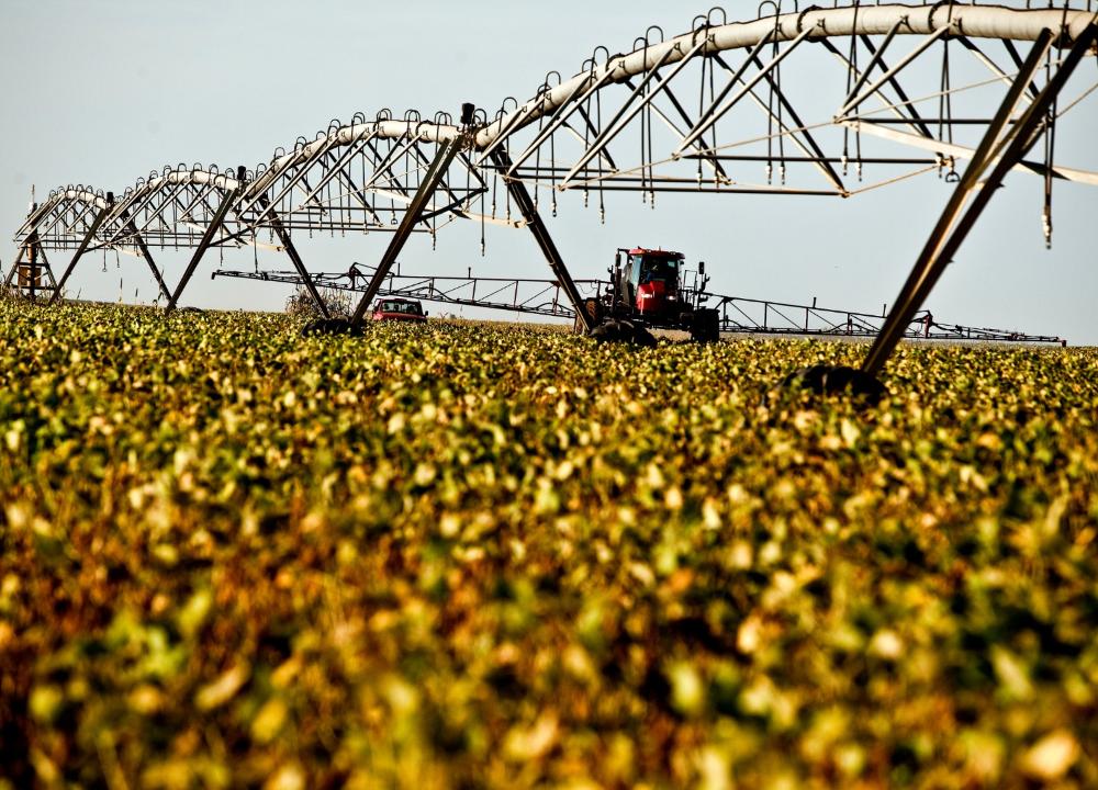 Agronegócios em São Paulo registram superávit de US$ 10 bilhões no primeiro semestre de 2023