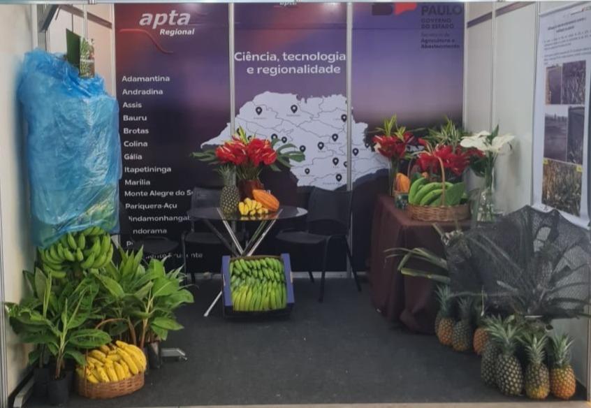 Pesquisas e inovações da APTA Regional em horticultura sustentável estarão na Hortitec 2023