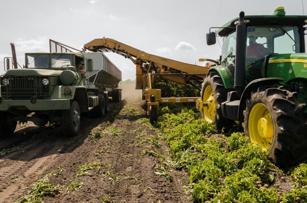 Preços Agropecuários caem 1,31% em maio de 2023, aponta IEA